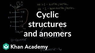 Carbohydrates  cyclic structures and anomers | Chemical processes | MCAT | Khan Academy