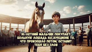 видео: 10-Летний Мальчик Покупает Больную Лошадь На Аукционе То, Что Произошло Потом, Оставит Тебя Без Слов картинка: 10-Летний Мальчик Покупает Больную Лошадь На Аукционе То, Что Произошло Потом, Оставит Тебя Без Слов