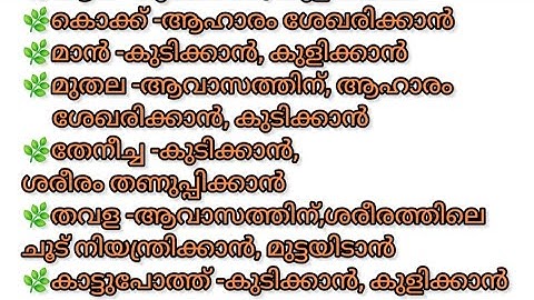 Class 3, Unit 3 ജലവും മണ്ണും, Full notes and explanation, Malayalam medium, SCERT