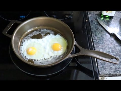 Stargazer 10.5 inch Cast Iron Egg Test New Out of the Box!!!