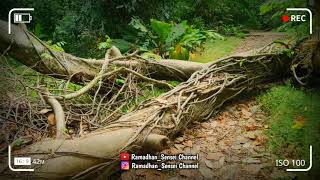 Download lagu Misteri Kebon Belanda Jejalen Tambun || Ramadhan_Sensei