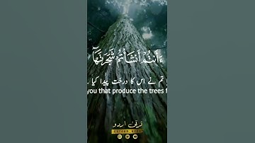 ﴿ سورة الواقعة: ٧١-٧٤ ﴾🎙️ المنشاوي