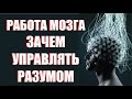 Работа мозга и управление разумом