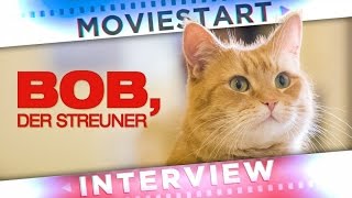 Bob, der Streuner
