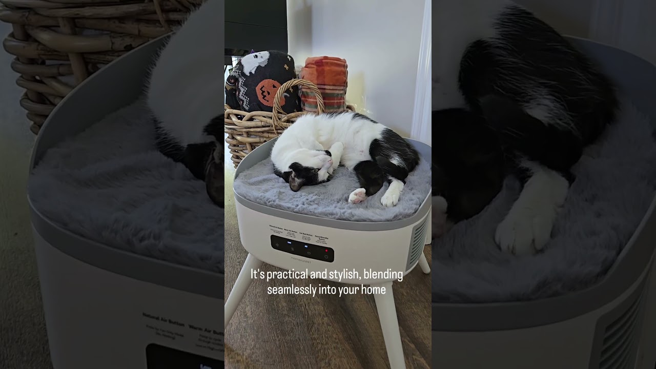 Would your cat like this cozy spot? 😻🐾 