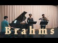 Brahms Two Songs for Mezzo, Viola, & Piano (I) | Ft. J'nai Bridges and Brendon Shapiro