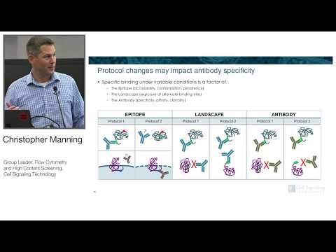 Mastering Phospho Flow: Optimizing Immune Cell Activation Assays