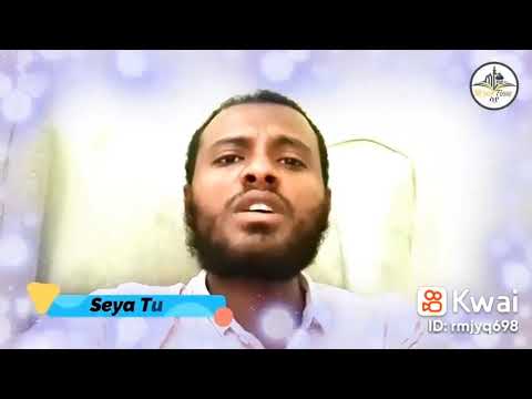 ቪዲዮ: በዳል ሀይቅ ካሽሚር ላይ?