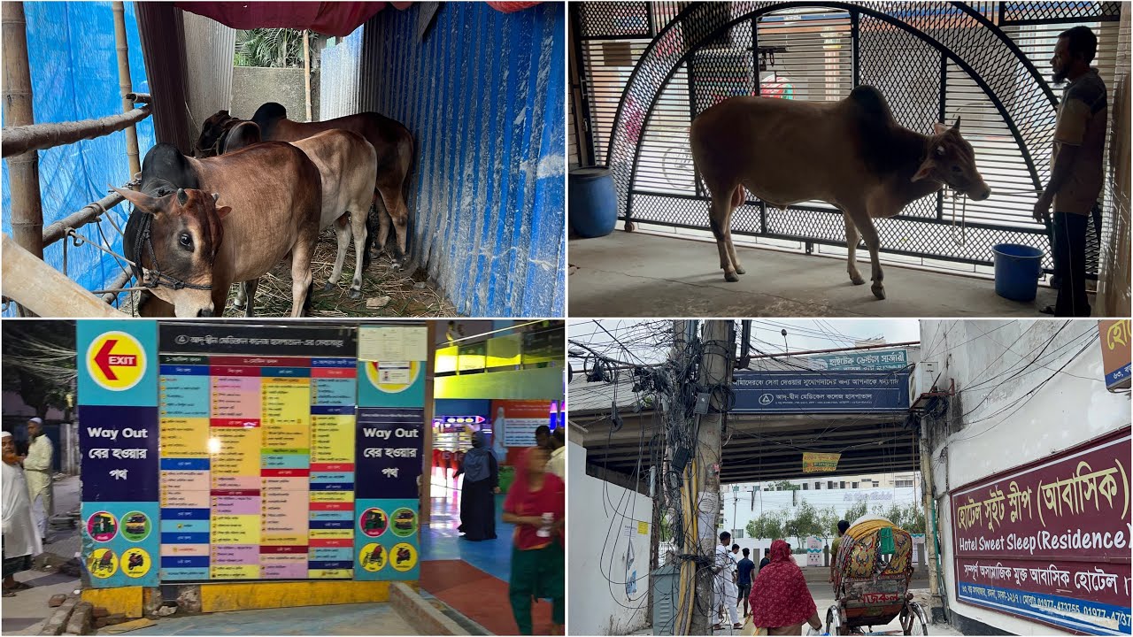 কোরবানি ঈদের দিন হাসপাতালে ভর্তি হতে হলো। ঈদের সব প্রস্তুতি মাটি হয়ে গেল😭