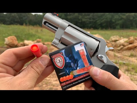 .410 Rubber Buckshot !!!! #shorts