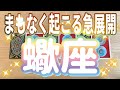 蠍座♏️まもなく起こる急展開‼︎‼︎〜見た時がタイミング〜Timeless reading〜タロット&オラクルカードリーディング