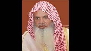 Cheikh Ali Al houdaifi At-Takathur: 102