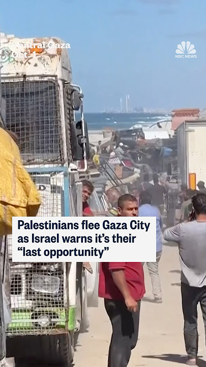 Palestinians flee Gaza City as Israel warns its their 'last opportunity'