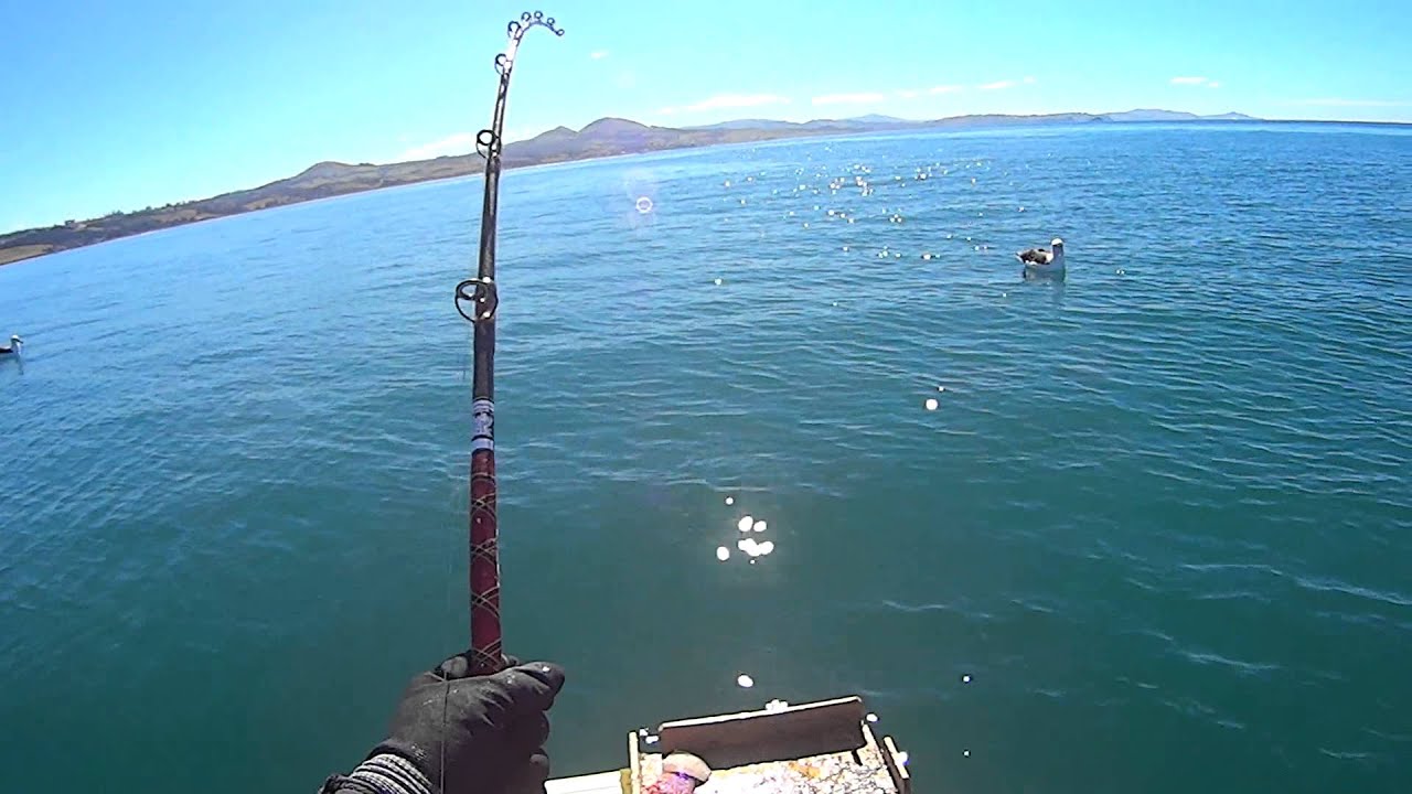 taieri mouth coast 10 YouTube