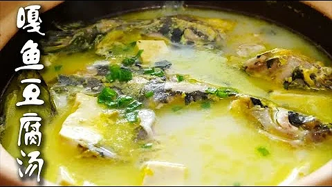 一食五味：怎麼才能熬出奶白色魚湯？學會這一招，燉什麼魚都能喝到奶白無腥味鮮美無比的魚湯！ - 天天要聞