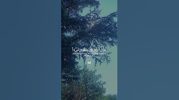 قران كريم #قران كريم #france #فرنسا #اكسبلور #تيك_توك #duet #دويتو #راحة_نفسية #لايك #ت #beautiful
