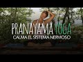 20 minutos de yoga para calmar la ansiedad | Clase de yoga con Xuan Lan