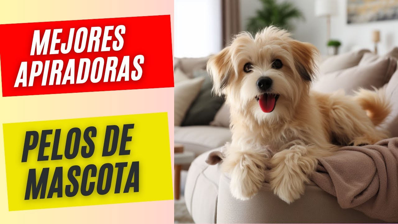 Cómo elegir la mejor aspiradora para pelo de perro 2024