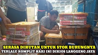 TERLALU KOMPLIT SERASA DIHUTAN UNTUK PILIHAN BURUNGNYA!!HARGA BURUNG DIKIOS LANGGENG JAYA HARI INI
