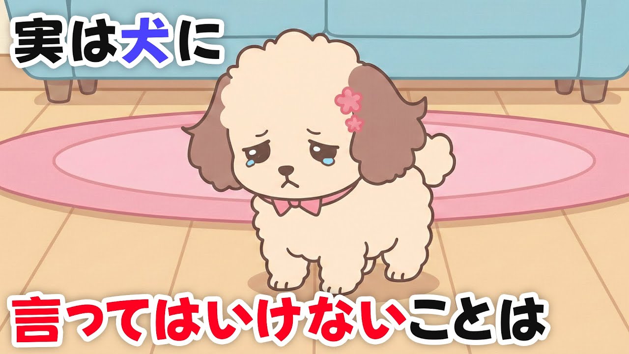 【絶対NG】やってしまいがち…犬に絶対言ってはいけない言葉・NG行動 10選｜犬雑学