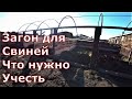 Размеры загона для свиней / На что обратить внимание при строительстве