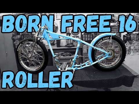 Born Free 16 Assembly Time!