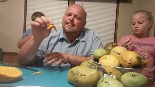 #Edward #mango #tastetest with #fricknfrack & #theurbanhillbilly