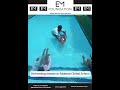 Where Confidence Meets the Water 💦Swimming Classes at Addnum Global School 🏊♂️💦