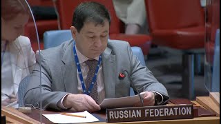 Statement by Chargé d&#39;Affaires Dmitry Polyanskiy at UNSC briefing on &quot;Non-proliferation&quot;