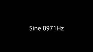 Sine 8971Hz Audio Only