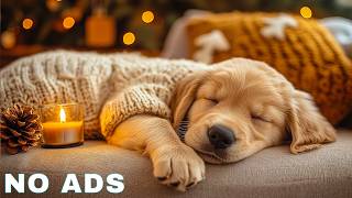 12 Hours Relax My Dog 🎧🐶 Dog Anxiety Music 🎼 Anti Separation Anxiety Music For Dogs At Home