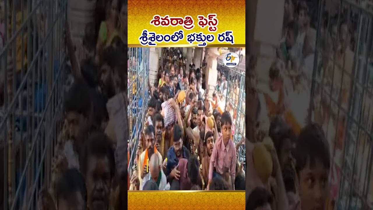 Full Rush At Srisailam On The Occasion Of Mahashivaratri As Devotees Waiting In Queue For Darshan
