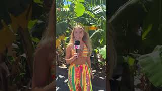 Interrupting Your Feed With This Very Important Broadcast