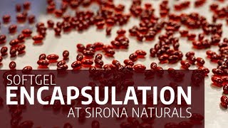 Soft Gel Encapsulation at Sirona Naturals' Facility