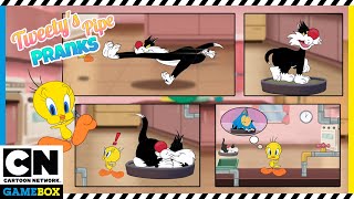 Looney Tunes Gameplay | Tweety Pipe Pranks - Find All The Stickers! | Cartoon  Network GameBox - YouTube