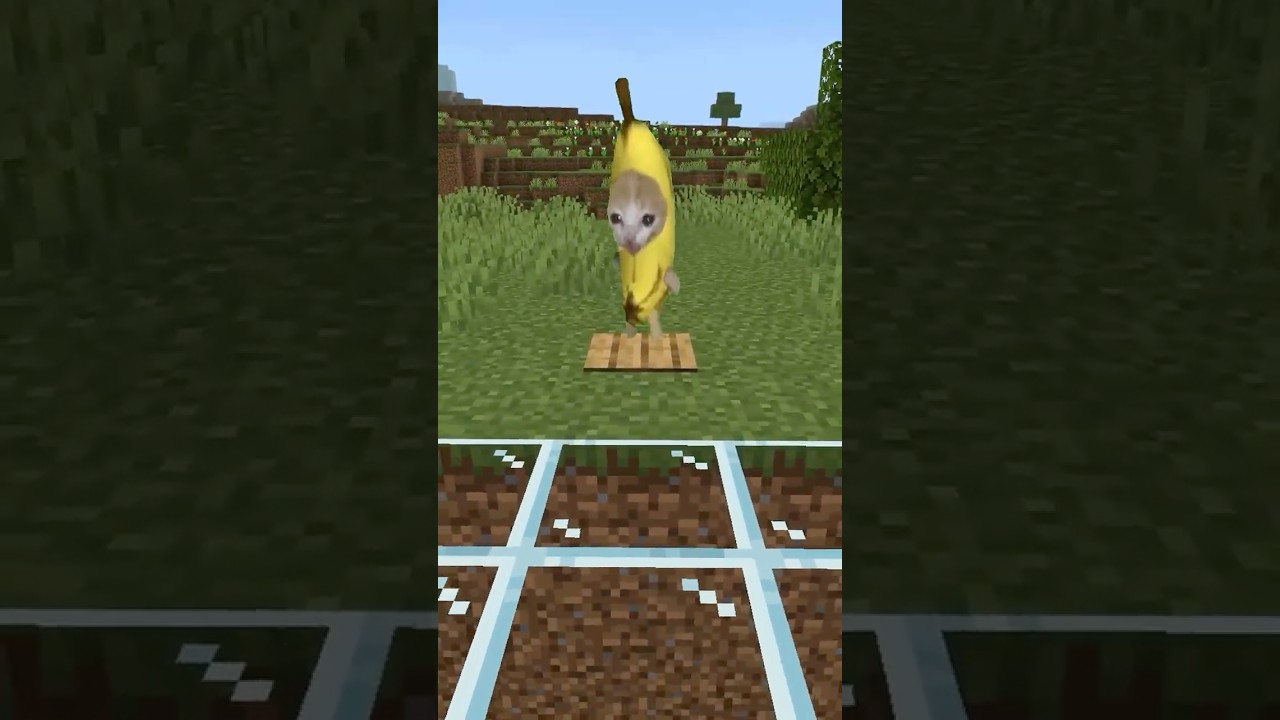 バナナ猫のドロッパー #マイクラ #猫ミーム #bananacat