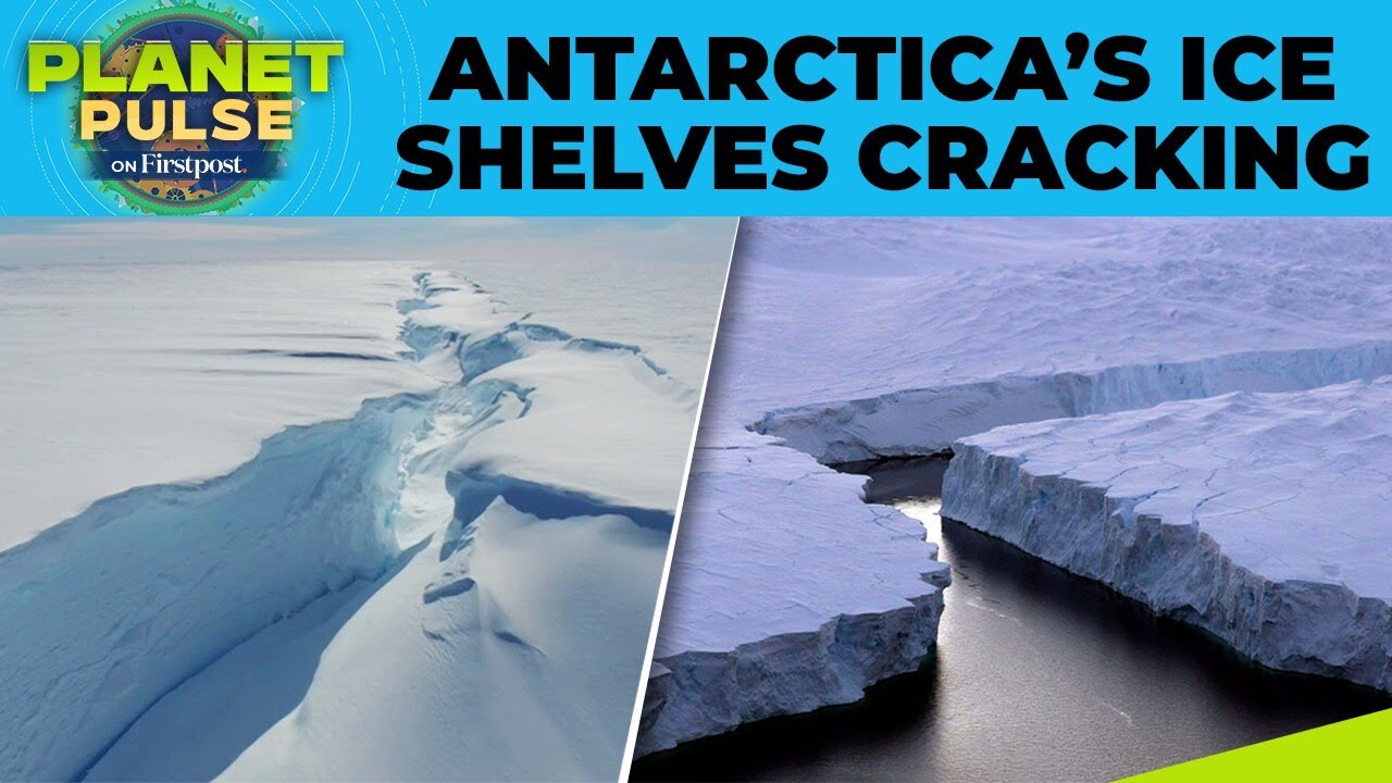 Antarctica’s Thwaites Glacier Cracks Widening Amid Global Ice Loss Crisis | Planet  Pulse