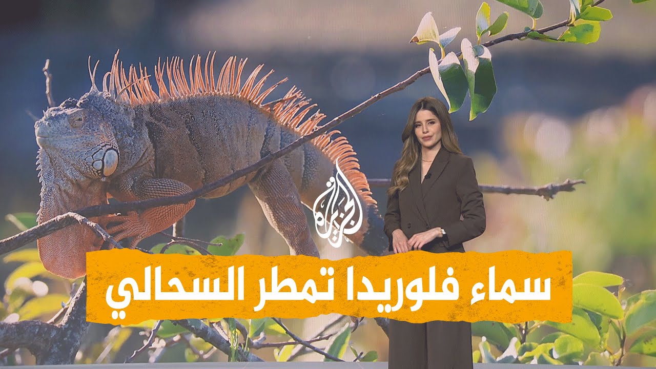 ����� | ��� �� ������.. ������ ���� ����� ������ �� �������.. �� ����ɿ
 - نشر قبل 8 دقيقة