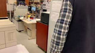 Electron impact ion source