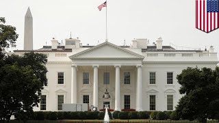 Georgia man charged with plotting to attack White House - TomoNews