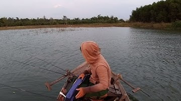 ( Câu cá Hoàng Đế )Trải nghiệm thuê xuồng dạo chơi trên hồ TRỊ AN và câu cá " hoàng nhi "