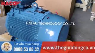 Motor ABB 22Kw 30HP M2QA (#M2QA)