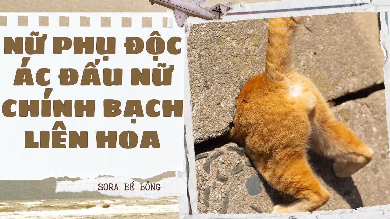 [Truyện Audio ] [FULL] NỮ PHỤ ĐỘC ÁC ĐẤU NỮ CHÍNH BẠCH LIÊN HOA || Sora Bé Bỏng