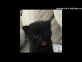 lieu twitter snippet type beat