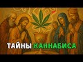 История Каннабиса: Кто Объявил Его Вне Закона и По Какой Причине?