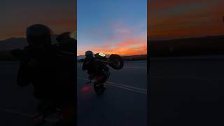 Wheelies + Sunsets = Happiness 💯🙌🏾 #clappergang #gromsquad #wheelie #gromlife