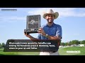 Scottie Scheffler wins CJ Cup Byron Nelson in historic fashion
