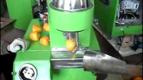 high  efficient automatic apple and persimmon peeling machine