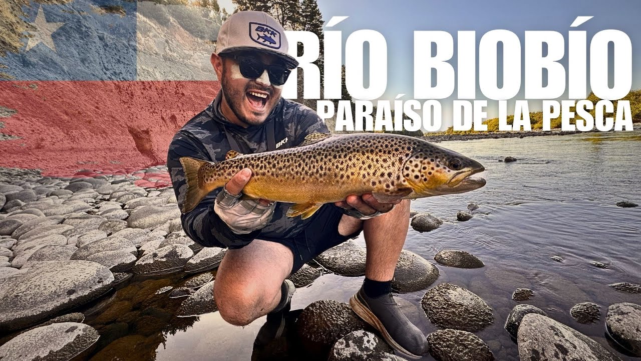 En este lugar de Chile puedes encontrar TRUCHAS ENORMES!