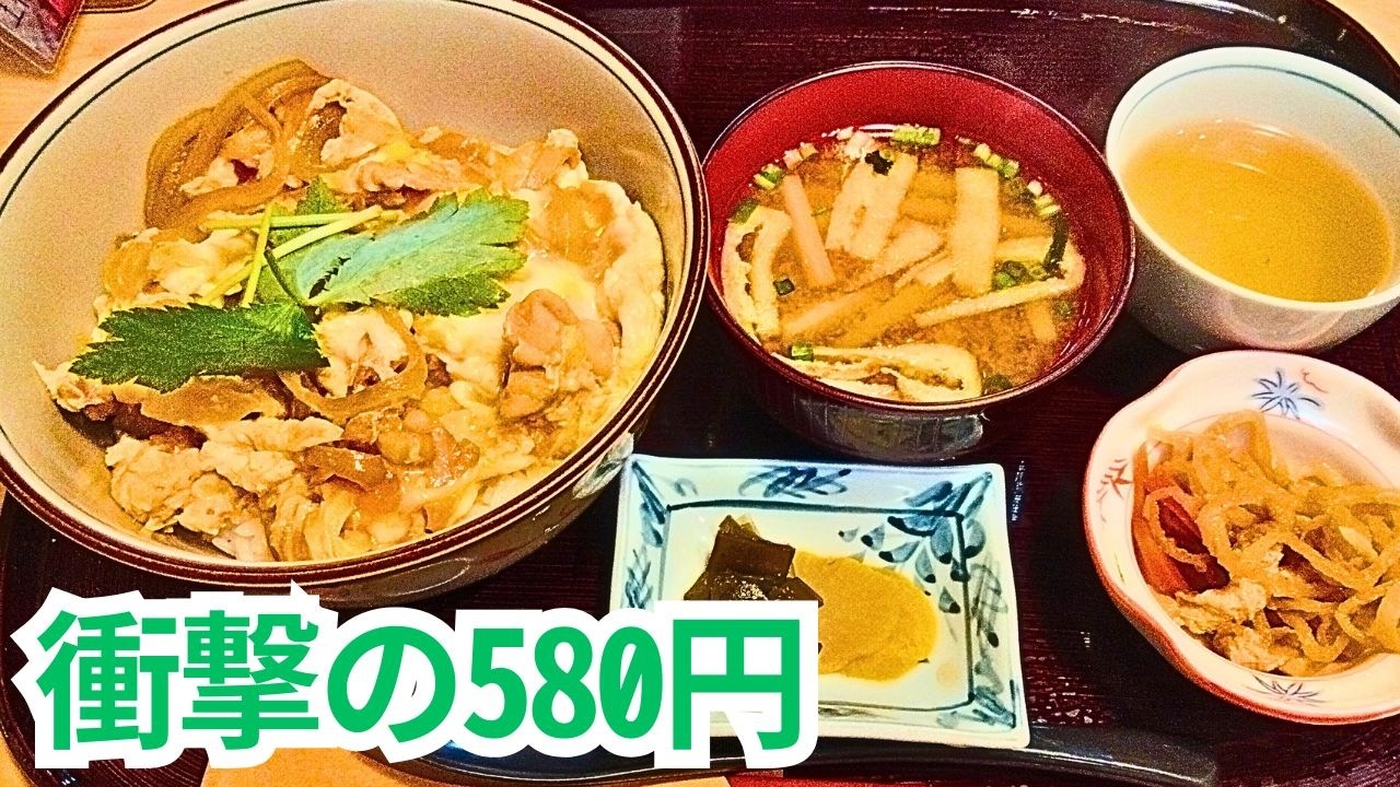 【高知一人旅】龍馬とカツオだけじゃない！580円親子丼、300円で土佐茶＆スイーツ、ソウルフードから歴史、まさかの光景まで！高知の魅力を深掘り一人旅　高知観光モデルコース車なし